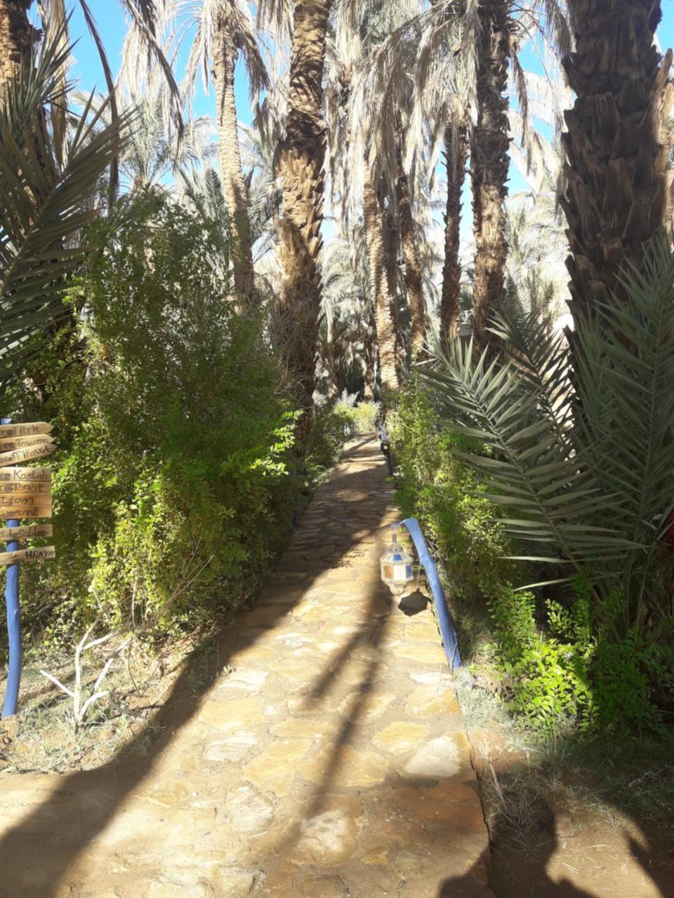 Riad Tagmadarte Ferme d'Hôte Zagora Exterior foto