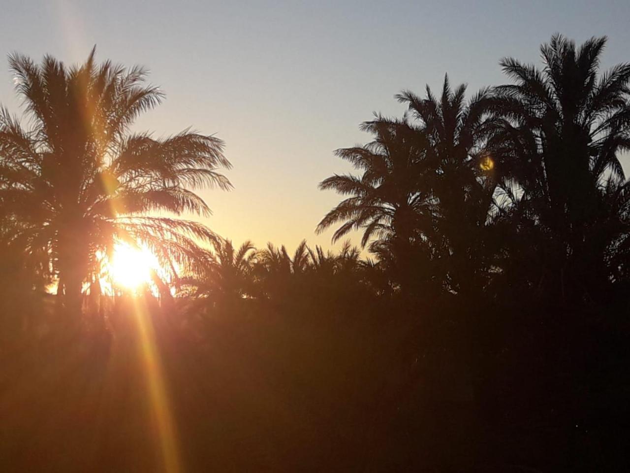 Riad Tagmadarte Ferme d'Hôte Zagora Exterior foto